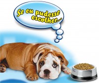 /album/a/proline-cachorro-jpg/